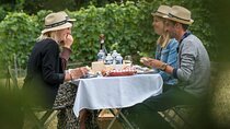 Picnic at "Château Vaudois" private tour 