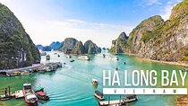 Halong Bay Full Day Cruise from Hanoi by Transfer Expressway