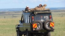 3 Days Masai Mara Sopa Lodge Luxury Safari
