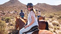 Cape Town Horseback Full Day Safari tour 