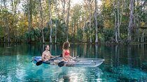 Silver Springs: Clear Kayak Wildlife Adventure