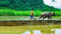  2 Day Private Guided Tour in Pu Luong Nature Hanoi
