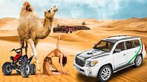 Dubai Evening Desert Safari - Join Tour