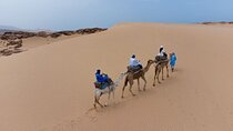 Agadir Sand Dunes and Camel Ride in Tifnit with Lunch