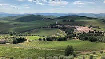 Discover Chianti Classico Wines DiWine Experience 