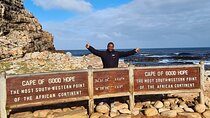 Cape of Good Hope, Boulders Beach Full Day Private Experience