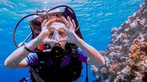 Discover Scuba Diving Sharm El Sheikh