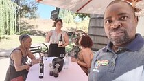 Private Full Day Wine Tasting in Cape Town 