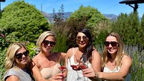 Lake Country Half Day Guided Wine Tour With 4 Wineries