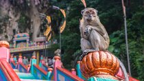 Malaysia Countryside and Batu Caves Tour from Kuala Lumpur