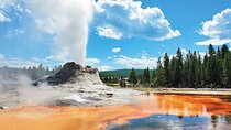Premium Small Group SLC, Yellowstone National Park 6-Day Tour