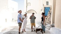 Private Tour: Discover South of Santorini
