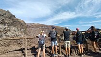 Private Full Day Pompeii & Volcano Vesuvius Tour from Rome