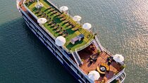 Dragon Bay Cruise - Luxury 2 Days Cruise to Halong Bay from Hanoi