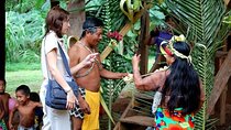 Embera Village and Waterfall Eco Tour with Private Guide