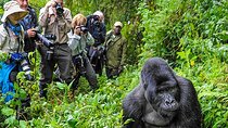 15-Day Private Safari Tour to Explore Primates in Uganda