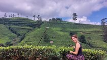 Private Nuwara Eliya City Tour Including Main Attractions