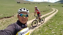 11 Day World Heritage Orkhon Valley National Park Cycling Tour