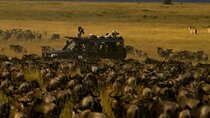 Spectacular Serengeti Migration Safari
