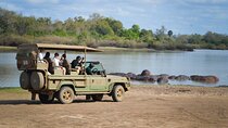 Day Safari Tour Selous Game Reserve