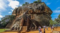 Sigiriya, Dambulla & Jungle Safari: Budget Tour from Colombo