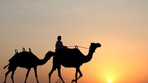 Private Desert Safari Tour in Dubai