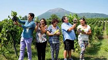 Pompeii and Cantina del Vesuvio Winery Private Tour