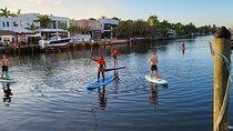 2 Hours Private Paddleboard Activity