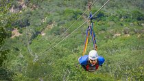 Half Day Ziplines Adventure and UTV ride with Tour Guide in Baja