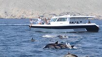 Dolphin Watching and Snorkeling Activity in Muscat