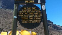 Mountain Kilimanjaro Climbing 8 Days Northern Circuit Route