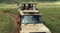 4 Days Luxury Lodge Safari To Tarangire, Serengeti & Ngorongoro Crater.