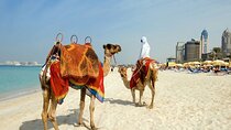 Dubai : Private Custom Walking Tour with A Guide (Private Tour)