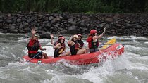 White Water Rafting Sarapiqui River | Class II - III from San Jose