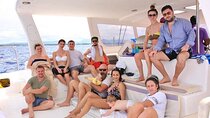 All Inclusive Catamaran To Ile Aux Cerfs And Waterfall Visit