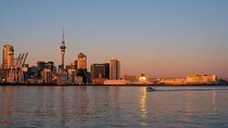 Auckland Private Custom Walking Tour with A Guide (Private Tour)