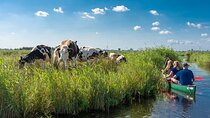 Guided Canoe Adventure with Picnic Lunch in Waterland from Amsterdam