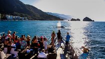 Sunsets and Whales Mega Yachts ALL INCLUSIVE: Puerto Vallarta
