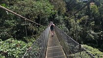 2-Hour Private Místico Hanging Bridges Naturalist Walk