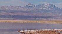 Tour to Laguna Cejar, Ojos del Salar and Laguna Tebinquiche
