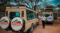 4 Days Tarangire Serengeti and Ngorongoro Crater mid range tour
