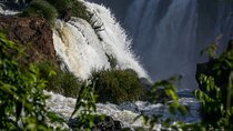 Transfer IN IGU & Iguassu Falls Brazilian side & Macuco Boat Safari