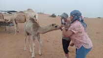 Morning Desert Safari in Nazwa Desert