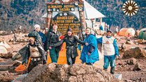 Climb Kilimanjaro - Lemosho Route 7 Day Climb