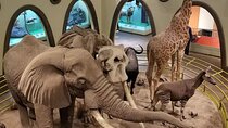 Nairobi National Museum, Giraffe Centre and Nairobi National Park