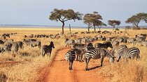 3 Days Serengeti and Ngorongoro Budget Tour