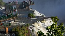Airport Cataratas IGU Pick-Up & Iguassu Falls Brazilian Side & Bird Park