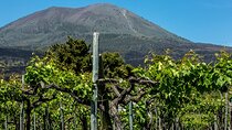 Pompeii with Wine Tasting and Lunch from Naples