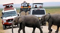 Private Amboseli Overnight Tour