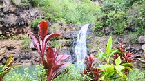 Waimea Valley Waterfall Swim & Dole Plantation Tour with Lunch